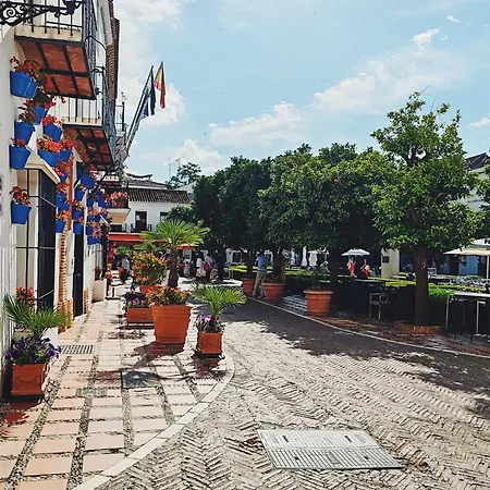 Plaza Naranjos *